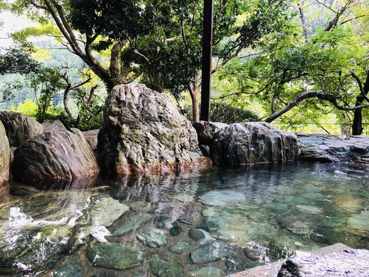 渓谷の山間にたたずむ宿で食す【祖谷会席】×徳島県産黒毛和牛「和一」鉄板焼き【♯徳島あるでないで】